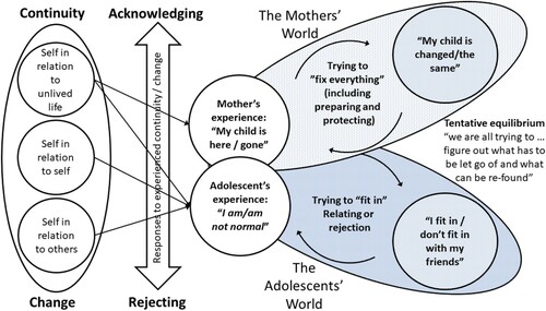 Figure 1. Grounded theory of dyadic identity change processes post adolescent BI.