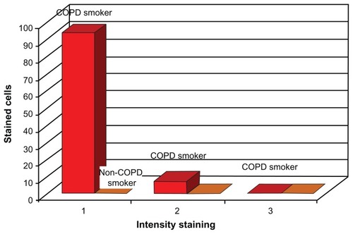Figure 3 Schematic representation of the tissue expression of αB-crystalline from COPD-smokers, non-COPD smokers, and age-related emphysema.