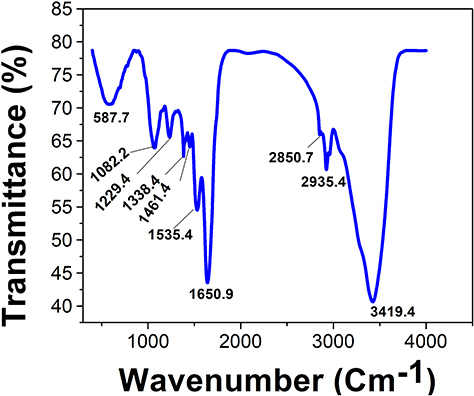 Figure 5 Functional groups surrounding Nos@AgNPs synthesized by Nostoc muscorum Lukesova 2/91.