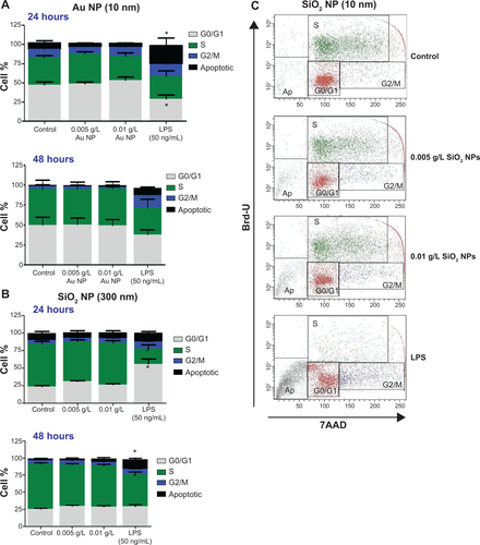 Figure S2 RAW 264.7 cells were exposed to NPs for variable time points and the cell cycle was determined flow cytometry.Notes: There is no significant change in the cell cycle parameters for either (A) 10 nm Au NPs or (B) 300 nm SiO2 NPs. Graphs show mean values with SEM (N=7–12). *P<0.05 is considered statistically significant as determined by two-way ANOVA followed by Bonferroni post-test. (C) A representative dot-plot analysis of the cell cycle for cells treated with SiO2 NPs (10 nm).Abbreviations: NPs, nanoparticles; SEM, standard error of the mean; ANOVA, analysis of variance; LPS, lipopolysaccharide; Ap, apoptosis; 7AAD, 7-Aminoactinomycin D.