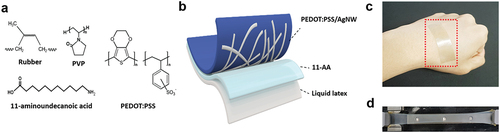 Figure 1. (a) Chemical structures of natural rubber, PVP, 11-AA, and PEDOT:PSS. (b) Schematic of the natural rubber/AgNW/PEDOT:PSS composite film. (c) Photograph of the composite film attached on skin. (d) Photograph of the composite film stretched up to 1350%.