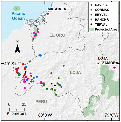 Figure 1. Species presence locations in the Southern Region of Ecuador. Cavanillesia platanifolia (CAVPLA), Cordia macrantha (CORMAC), Erythrina velutina (ERYVEL), Handroanthus chrysanthus (HANCHR), Terminalia valverdeae (TERVAL).