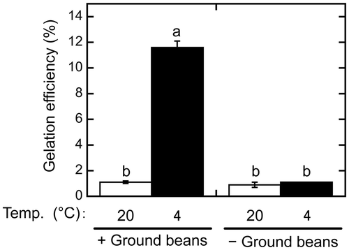 Figure 3. Difference between extracts produced by removing ground beans before and after boiling. One extract was produced by boiling a suspension containing ground beans, which were then removed by sieving (+). Another was prepared by removing the ground beans from the suspension before boiling, after which, it was sieved again (−). The extracts were then incubated at 20 °C (white bars) or 4 °C (black bars) for 1 day. Gelation efficiency was calculated as in Figure 1. Data are expressed as the means ± standard deviations of three independent experiments. Statistically significant differences were determined by one-way analysis of variance and the Tukey–Kramer test. Different letters indicate a significant difference (p < 0.001).