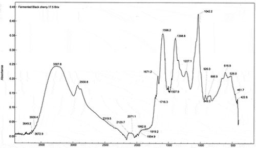 Figure 3. FTIR spectrum of fermented black cherry beverage (FRB2) from juice with 17.5% of total soluble solids