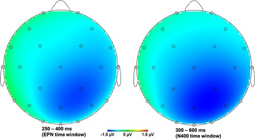 Figure 6. Adverb region: Topography for the positive prime face - negative event-sentence target minus negatively matching trials, i.e. matching negative trials subtracted from mismatching positive prime face - negative event-sentence trials (Experiment 1).