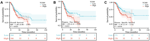 Figure 3 Survival analyses of OS, PFI, and DSS based on the expression of TCHH mRNA in the TCGA-STAD datasets. OS (A), PFI (B), and DSS (C) curve of patients with gastric cancer based on TCHH mRNA expression.