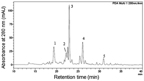 Fig. 4. Chromatogram of the MeOH2 fraction from a “Norin 61” seed coat at 10 DAF.