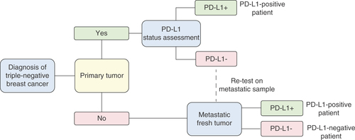 Figure 2. Proposed PD-L1 testing algorithm in metastatic triple-negative breast cancer.