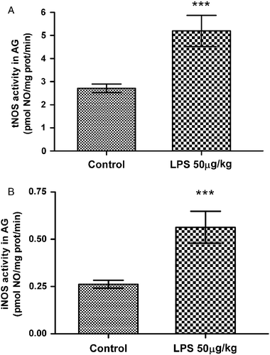 Figure 4.  Effect of LPS (50 μg/kg, i.p.) on (A) tNOS and (B) iNOS activity in the adrenal gland (AG). Values represent mean ± SEM (n = 6–8 rats per group). Data were evaluated by Student's t-test. ***p < 0.001 vs. control group.