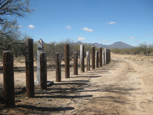 Figure 2. Bollard-style fencing southeast of San Miguel. Note supplementary cable and barbed wire. Feb. 2010. (Photograph by author). See color version online.