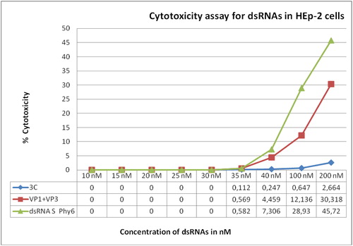 Figure 2. Cytotoxicity assay for 3C and VP1 + VP3 specific dsRNAs in HEp-2 cells.