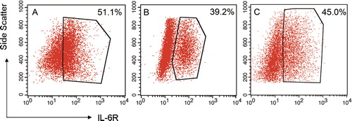 Figure 3. Expression levels of IL-6R on the surface of KM3 cells as detected by flow cytometry. (A) KM3 group. (B) KM3/hUCBDSC co-culture group C: KM3/MM-BMSC co-culture group. After sub-cultured for 4 days, the KM3 cells from each of the three groups were collected, and the expression levels of mIL-6R were then examined by flow cytometry. The expression levels of mIL-6R for KM3 cells in the KM3/hUCBDSC group were lower than in the KM3/MM-BMSC group. Each experiment was performed three times. hUCBDSCs, human umbilical cord blood-derived stromal cells; MM-BMSCs, multiple myeloma bone marrow stromal cells; IL-6R, IL-6 receptor.