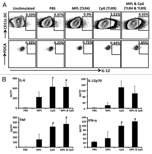 Figure 6. Assessment of proinflammatory cytokine production following DC stimulation with various adjuvant combinations. CD11c+ DCs were enriched using CD11c Microbeads and stimulated with PBS, TLR4 agonist alone, TLR9 agonist alone, or the TLR4 and TLR9 agonists for 20 h in a 48 well plate. A shows FACS plots of CD11c+ DCs and pDCs producing IL-12p70 following stimulation with indicated adjuvants. B shows the levels of pro-inflammatory cytokines IL-6, IL-12p70, TNF-α and IFN-α by CD11c+ DCs following stimulation with PBS, TLR4 agonist alone, TLR9 agonist alone, or the TLR4 and TLR9 agonists. These cytokines were assessed in culture supernatants using standard ELISA assays. The data represent the mean ± SEM from two independent experiments. Error bars represent the mean ± SEM *P < 0.05 (determined by the Student t test).