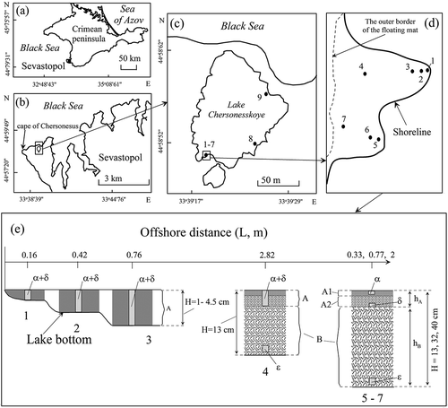 Fig 1. (a, b) The Crimean Lake Chersonesskoye on different scales. (c, d) with the scheme of location of sampling stations where 1–9 is the numbers of sampling stations (stations 1–7 were in 2018 and 8–9 were in 2017). (e) Algal mat layers where A, B are floating and benthic mats, respectively, A1 and A2 are the upper and lower layers of the floating mat, and places of sampling of algae in the mats are defined as: α, in the upper layer of the floating mat; δ, in the lower layer of the floating mat; ε, in the benthic mat. H is the depth in a sampling site where hA, hB represent thickness of the floating and benthic mats, respectively