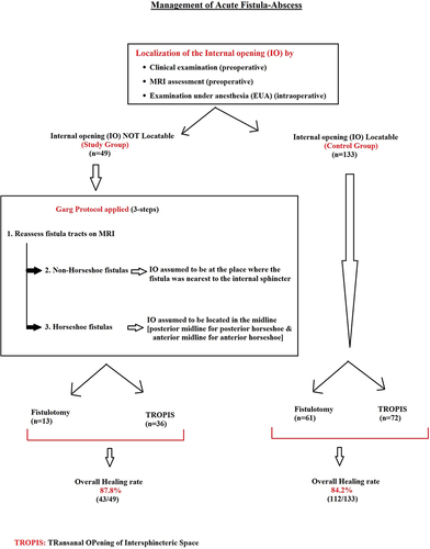 Figure 1 Flow-chart: Management of acute fistula-abscess patients.