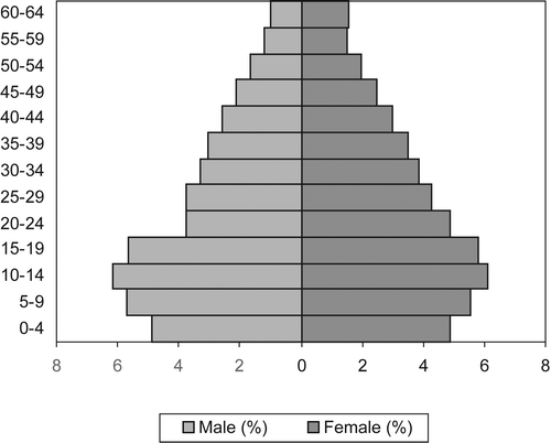 Figure 6: Age–sex distribution from the Income and Expenditure Survey, 2000