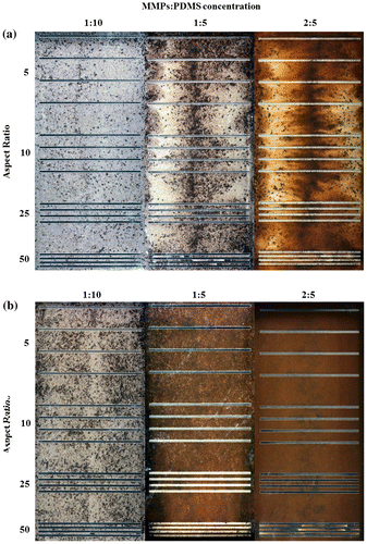 Figure 5. Clear-view MMPs-PDMS casting of (a) 100-μm-thick and (b) 200-μm-thick straight microchannels with composite concentrations of 1:10, 1:5, and 2:5 at aspect ratios of 5, 10, 25, and 50.