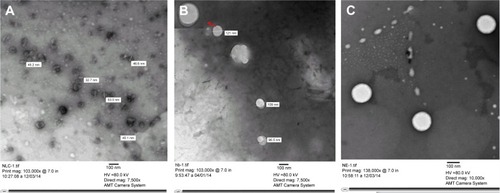 Figure 1 Transmission electron micrographs of NLC (A), NC (B), and NE (C).Note: Red arrow shows magnified view of nanocapsule showing core-shell structure.Abbreviations: NC, nanocapsule; NE, nanoemulsion; NLC, nanostructured lipid carrier.