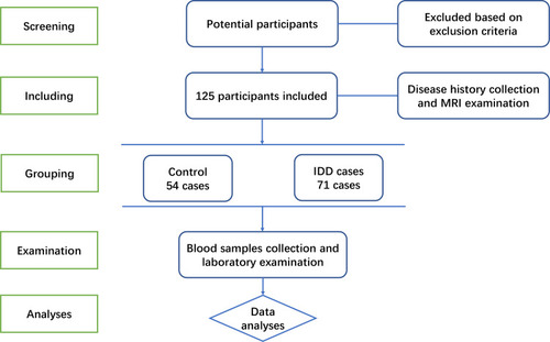 Figure 1 The flow chart of participants screening, including, grouping, examination and analyses in this study.