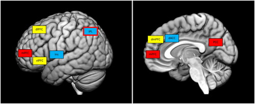 Figure 1. Main brain areas of the different networks. Display full size Executive-control network. dlPFC: dorsolateral prefrontal cortex; vlPFC: ventrolateral prefrontal cortex; dmPFC: dorsomedial prefrontal cortex. Display full sizeSalience network. IPL: inferior parietal lobe; dACC: dorsal anterior cingulate cortex; Ins: insula. Display full sizeDefault mode network. IPL: inferior parietal lobe; mPFC: medial prefrontal cortex; PCC: posterior cingulate cortex.