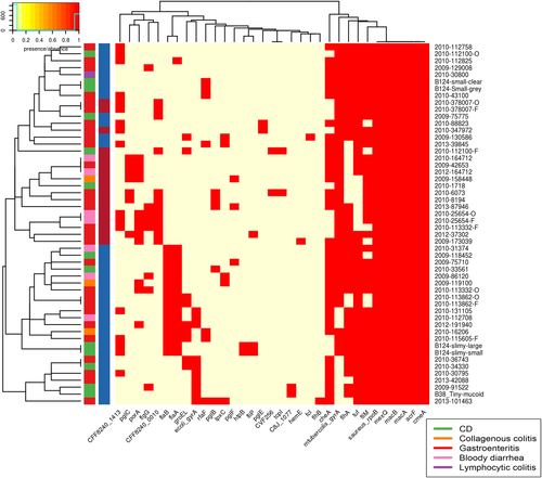 Fig. 2 Presence of virulence factors in genomes of isolates sequenced for this study.Contains VFDB hits from the VFDB all dataset. Virulence factors were detected using the Comprehensive Antibiotic Resistance Database (CARD) and the Virulence Factor Database (VFDB). There are two colour columns representing metadata for the samples. The first represents the disease presentation of the host with a legend available. The second represent the genomospecies (GS) of the isolate with “red” referring to GSI and “blue” to GSII