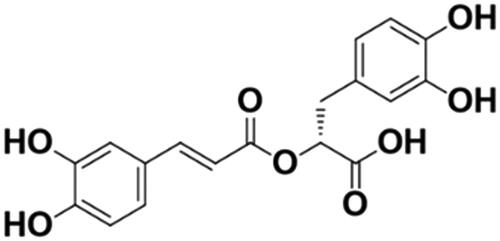 Figure 1. Chemical structure of rosmarinic acid (RosA). Molecular formula: C18H16O8; molecular weight: 360.32.