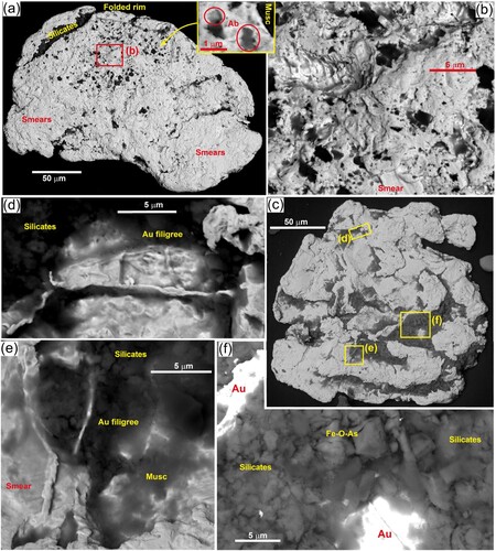 Figure 9. External morphology of detrital gold from Rakaia Gorge flood-derived silty sand. A, Flattened particle with folded rim and abundant porous surface areas. Inset shows micron-scale albite inclusions. B, Close view of some porous surface area in a, showing possible primary smooth surfaces that host the pores and mineral inclusions. C, Irregularly-shaped equant particle with abundant silicate inclusions. D, Close view of filigree-like gold surface structures on the margin of a silicate-filled depression in C. E, Close view of filigree-like gold structures intergrown with silicates in particle in C. F, Silicates and oxidised As-bearing sulphide material in a depression in surface of particle in C.