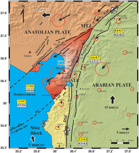 Figure 19. The GPS velocity field relative to fixed Arabian Plate (GPS data from Alchalbi et al., Citation2010; Meghraoui et al., Citation2011; Reilinger et al., Citation2006). The abbreviations indicate GPS observation campaigns by Reilinger et al. (Citation2006) and Alchalbi et al. (Citation2010). The fault slip rates (mm/y) were deduced from Mahmoud et al. (Citation2012). The top numbers in each rectangle give strike-slip rates, positive being left-lateral. The other numbers in each rectangle give fault-normal slip rates, positive equalling closing. CAF – Cyprus-Antakya Fault. For the other abbreviations, see Figure 1.