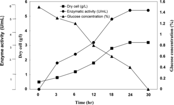 Figure 1 Growth profile and enzyme activity.