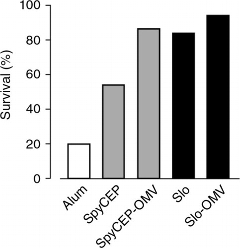 Fig. 8 In vivo protective activity of Slo-OMVs and SpyCEP-OMVs – Groups of 16 mice were immunized with 3 doses of Alum-formulated OMVs carrying heterologous antigens (25 µg total proteins), Alum-formulated purified recombinant proteins (20 µg) or Alum alone. After 2 weeks, mice were challenged intraperitoneally with a LD80 dose of M1 3348 GAS (2×106 CFUs) and survival was followed over a period of 7 days.