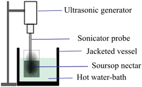Figure 1. Schematic diagram of thermosonication treatment to laboratory scale used in this study.Figura 1. Diagrama esquemático del tratamiento de termosonicación a escala de laboratorio usado en este estudio.
