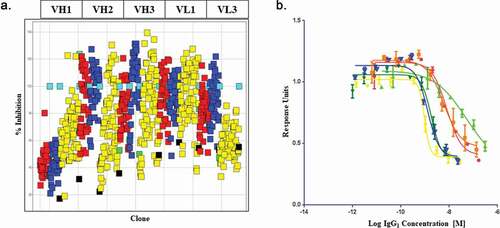 Figure 2. High-throughput screening of soft mutagenesis phage libraries for affinity-improved anti-BDNF antibodies
