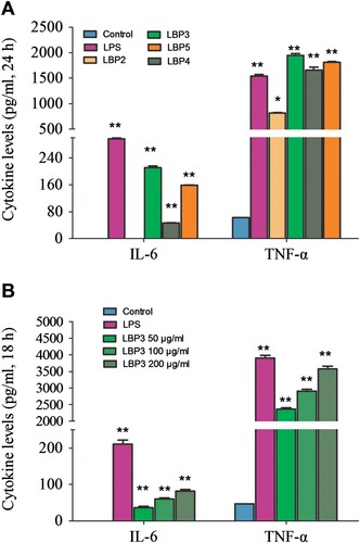 Figure 4. The concentration of TNF-α and IL-6 in the culture supernatant of RAW264.7 macrophages. Cells were treated with 100 μg mL−1 of LBP2, LBP3, LBP4 and LBP5 or 1 μg mL−1 of LPS for 24 h, or treated with 50, 100 and 200 μg mL−1 of LBP3 for 18 h. The concentration of TNF-α and IL-6 in the culture supernatant was determined with the CBA mouse inflammation kit using flow cytometry. (A) Statistical analysis of TNF-α and IL-6 production in the culture supernatant of LBP fractions treated cells. (B) Statistical analysis of TNF-α and IL-6 production in the culture supernatant of LBP3-treated cells. Data are shown as the means ± SD of three replicates (n = 3). *P < .05 and **P < .01, compared to the control group.