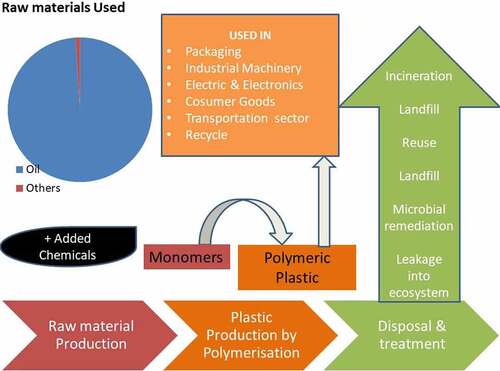 Figure 1. Schematic representation of the life cycle of plastic production to disposal