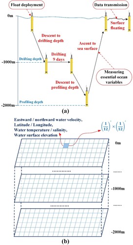 Figure 1. Presentation of two data points; (a) the standard Argo float mission cycle; (b) HYCOM vertical grid.
