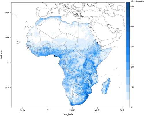 Fig. 2. Potential plant species richness across the continent of Africa based on a random sample of 484 angiosperm species whose localities were extracted from herbarium specimens, mapped to gridded pixels of a twelfth of a degree by a twelfth of a degree. Ensemble species distribution models were used to project species with sufficient points if those models met validity criteria. All other species are mapped using a point-to-grid method. This figure presents an example of how the methodology presented here (particularly up to the stacking of species distribution models in step 3) can be implemented.