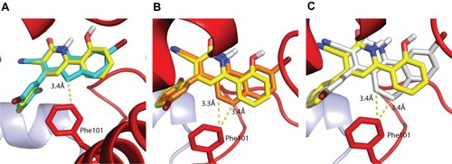 Figure 5 (A–C) Overlay of the best docking poses of the five, six, and seven-membered rigidized compounds, respectively, with Abbott 8 (yellow sticks) in the binding site of the MD representative structure. Such poses show one similar ring conformation per rigidized system. Apolar hydrogens (for compounds) and all hydrogens (for residues) are omitted for clarity.