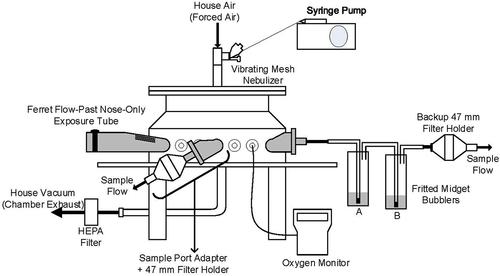 Figure 3. Schematic detailing a nose-only inhalation exposure chamber for ferrets. The exposure chamber contains multiple identical ports, most of which are used to connect directly to animal exposure tubes. Remaining ports are used to measure characteristics of the aerosol that are representative of that provided to the breathing zone of each animal on the system. The use of two glass frit impingers in series allows for a quantification of capture efficiency of test article.