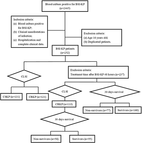 Figure 1 Flowchart of the case selection process.