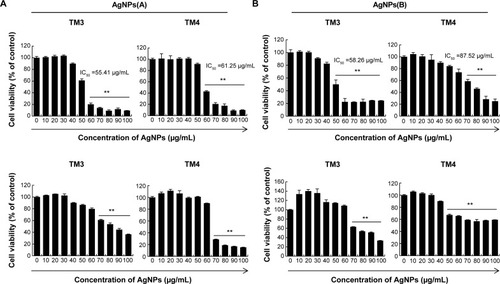 Figure 5 Effect of AgNPs on the viability of TM3 and TM4 cells.Notes: TM3 and TM4 cells were treated with various concentrations of 10 nm (A) and 20 nm (B) AgNPs for 24 hours, and cytotoxicity was determined using the CCK-8 (top panel) and MTS (bottom panel) assays. The data are expressed as the mean ± SD of three independent experiments performed in triplicate; **P<0.01.Abbreviations: AgNPs, silver nanoparticles; CCK, cell counting kit-8; IC50, half maximal inhibitory concentration; MTS, 3-(4,5-dimethylthiazol-2-yl)-5-(3-carboxymethoxyphenyl)-2-(4-sulfophenyl)-2H-tetrazolium, inner salt; SD, standard deviation; TM3, Leydig; TM4, Sertoli.