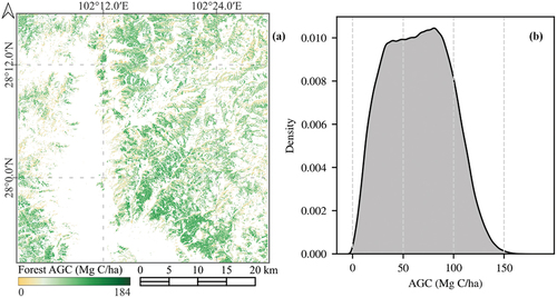 Figure 10. Spatial distribution of evergreen coniferous forest AGC (a), and kernel density estimation of predicted AGC (b).