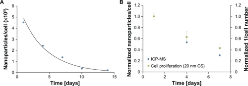 Figure 5 A) Nanoparticle uptake and retention over a two-week period were assessed using inductively coupled plasma mass spectrometry (ICP-MS) for cells incubated with 20 nm citrate-stabilized (CS) nanoparticles for 24 hours. The results are shown as the average number of nanoparticles/cell ± standard error. B) Comparison of the normalized values for the average number of nanoparticles/cell and the inverse of cell proliferation over time for control and 20 nm citrate-stabilized cells. The results are shown as the mean ± standard error.