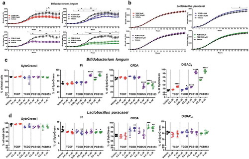 Figure 6. The growth rate and physiological response of individual species to POPs exposure in vitro. (a-b) Growth rate of Bifidobacterium longum (a) and Lactobacillus paracasei (b) with vehicle or two doses of POPs exposure as measured by absorbance (OD600) over 18 hours.Values are means ± S.D. (n = 5 per group), *P < .05, ** P < .01, *** P < .001, lower dose compare to vehicle; # P < .05, ## P < .01, ### P < .001 higher dose compare to vehicle.(c-d) Flow cytometric analyses of proportions of SybrGreen, Pi, CFDA, and DiBAC4-stained cells from Bifidobacterium longum (c) and Lactobacillus paracasei (d) with vehicle or two doses of POPs exposure for 18 h. (n = 4). * P < .05, ** P < .01, *** P < .001, **** P < .0001 compare to vehicle