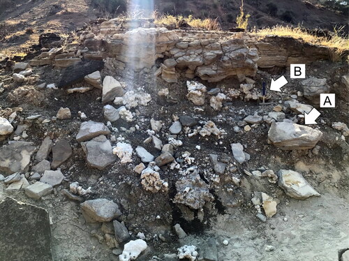 Figure 8. The exposure of Tuff IF, Bed I, where the tracks were discovered. A block of tuff containing a footprint is indicated by arrow ‘A’, and scale is indicated by geological hammer (32 cm long) at arrow ‘B’. Photograph taken facing East.