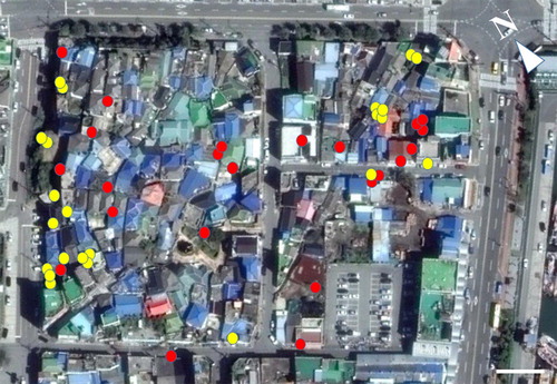 Figure 1. Photographs of the study site (34.8001923 N, 126.3895584 E, 210 m × 150 m) located in Dongmyeong-dong, Mokpo-si, Chonnam, South Korea, as obtained using Google Earth Pro. The locations where geckos were found are indicated by yellow for spring and red for summer. White bar = 20 m.
