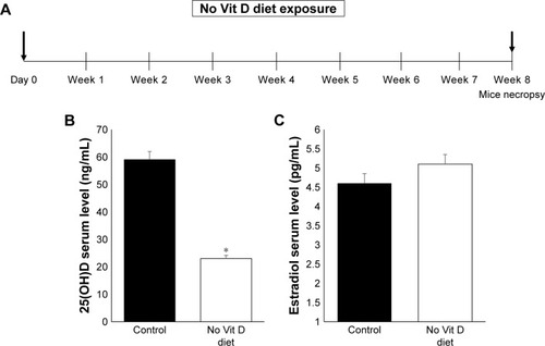 Figure 1 In vivo levels of vitamin D and estradiol.