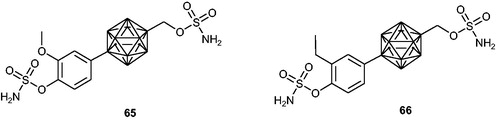 Figure 9. Chemical structures of STS inhibitors based on p-carborane-containing sulphamates 65 and 66.