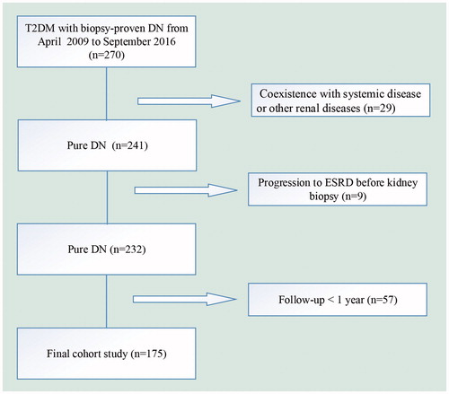 Figure 1. The flow chart for patients in this study. DN: diabetic nephropathy; ESRD: end-stage renal disease.