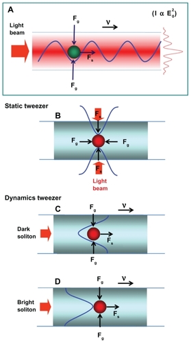 Figure 1 Different forms of dynamic and static optical tweezers.