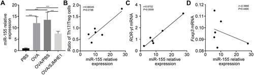 Figure 5 SJMHE1 treatment regulates the expression of miR-155 in lungs of allergic mice. On day 29, the mice were killed, and their lungs were tested for miR-155 expression by qRT-PCR. (A) miR-155 relative expression. Results are presented as mean±SEM of 12 mice from two independent experiments. (B) Correlation between miR-155 expression level and the ratio of Th17/Treg cells (n=6). (C) Correlation of miR-155 expression with that of ROR-γt and Foxp3 mRNA (D) in the lungs of OVA-treated mice (n=6). Spearman correlation analysis was used for the correlation calculation. ***P < 0.001.